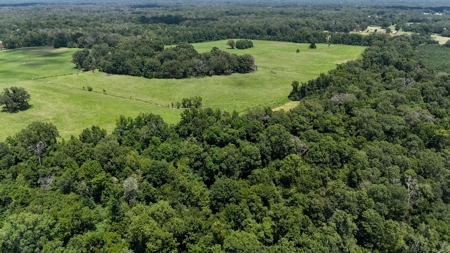 194 Acre Hunting, Homesite, and Pastureland for Sale - image 12