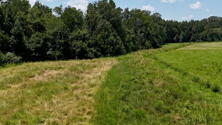194 Acre Hunting, Homesite, and Pastureland for Sale - image 11