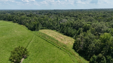 194 Acre Hunting, Homesite, and Pastureland for Sale - image 8