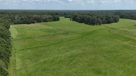 194 Acre Hunting, Homesite, and Pastureland for Sale - image 4