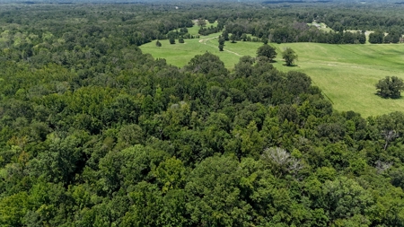 194 Acre Hunting, Homesite, and Pastureland for Sale - image 13