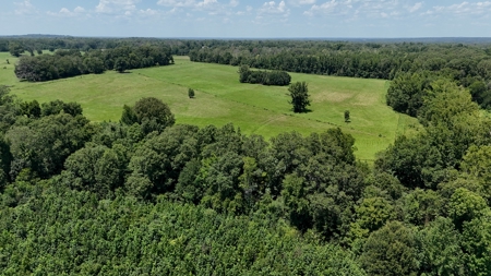 194 Acre Hunting, Homesite, and Pastureland for Sale - image 6