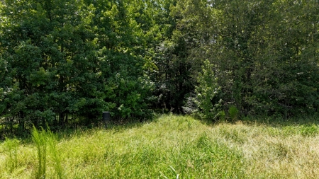 194 Acre Hunting, Homesite, and Pastureland for Sale - image 25