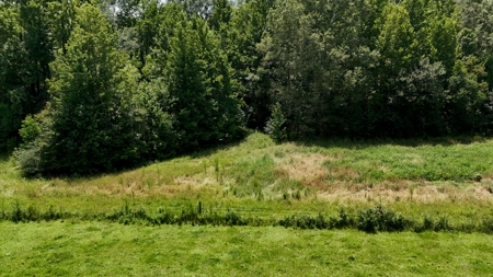 194 Acre Hunting, Homesite, and Pastureland for Sale - image 24