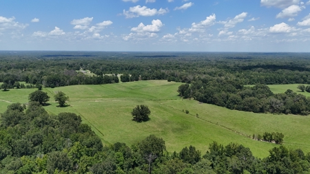 194 Acre Hunting, Homesite, and Pastureland for Sale - image 14