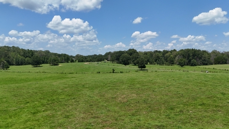 194 Acre Hunting, Homesite, and Pastureland for Sale - image 22