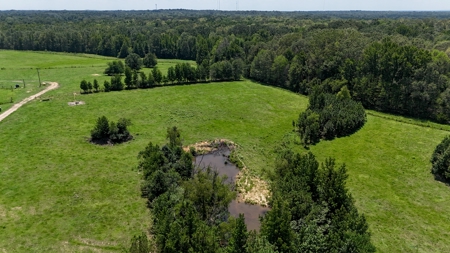 194 Acre Hunting, Homesite, and Pastureland for Sale - image 3