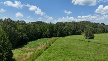 194 Acre Hunting, Homesite, and Pastureland for Sale - image 23