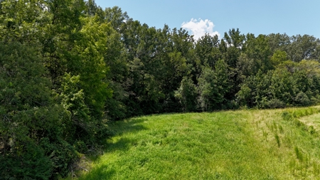 194 Acre Hunting, Homesite, and Pastureland for Sale - image 15