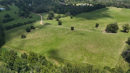 194 Acre Hunting, Homesite, and Pastureland for Sale - image 32