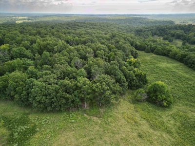 518 +/- acres in Mountain Grove, Missouri - image 5
