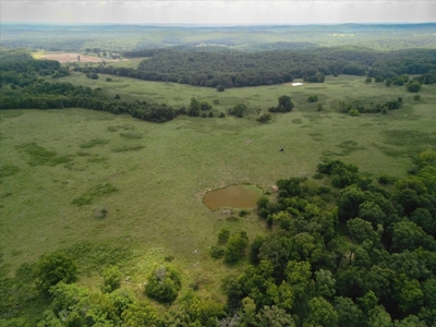 518 +/- acres in Mountain Grove, Missouri - image 21
