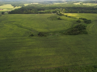 518 +/- acres in Mountain Grove, Missouri - image 14