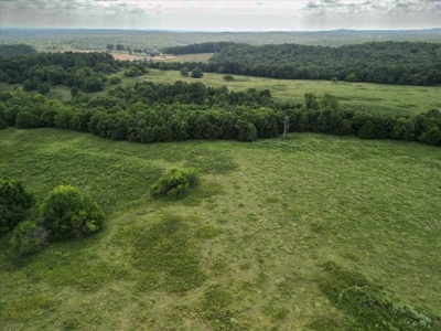 518 +/- acres in Mountain Grove, Missouri - image 6