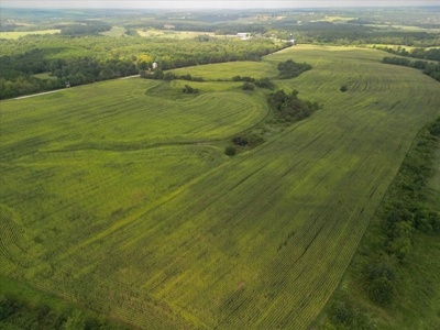 518 +/- acres in Mountain Grove, Missouri - image 13