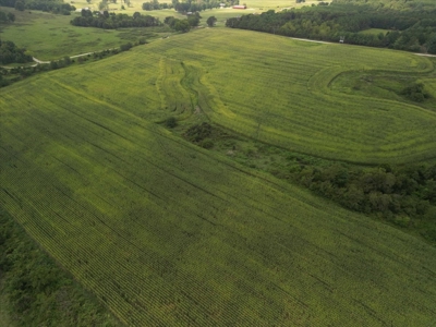 518 +/- acres in Mountain Grove, Missouri - image 15