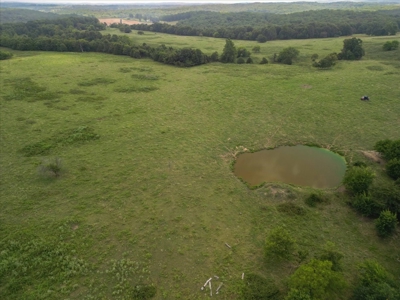 518 +/- acres in Mountain Grove, Missouri - image 2