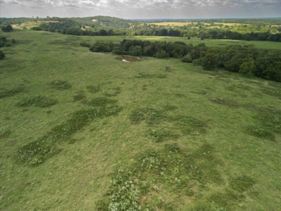 518 +/- acres in Mountain Grove, Missouri - image 4