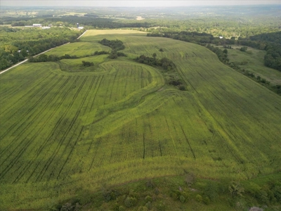 518 +/- acres in Mountain Grove, Missouri - image 1