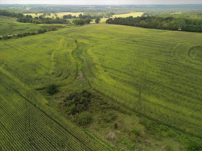 518 +/- acres in Mountain Grove, Missouri - image 17