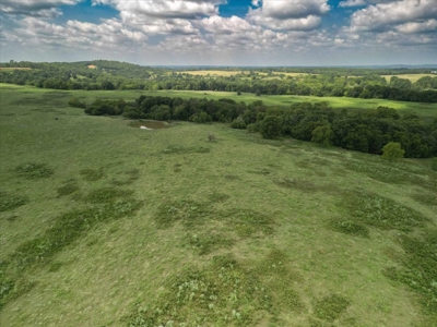 518 +/- acres in Mountain Grove, Missouri - image 7
