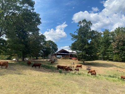 Large Country Home On Acreage In Tn, Shop, Barn, & Pond - image 43