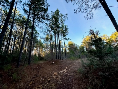 Deer Hunting Land Franklin County MS near Lake Okhissa - image 9