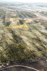 Deer Hunting Land Franklin County MS near Lake Okhissa - image 7