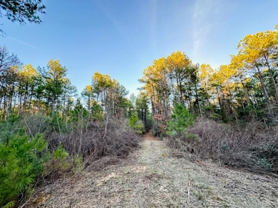 Deer Hunting Land Franklin County MS near Lake Okhissa - image 10