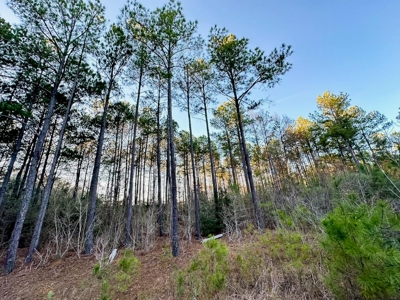 Deer Hunting Land Franklin County MS near Lake Okhissa - image 11