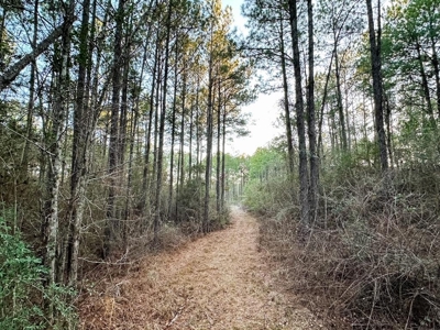 Deer Hunting Land Franklin County MS near Lake Okhissa - image 17