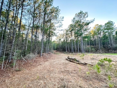 Deer Hunting Land Franklin County MS near Lake Okhissa - image 16