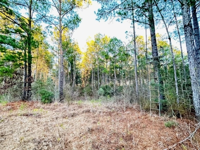 Deer Hunting Land Franklin County MS near Lake Okhissa - image 15