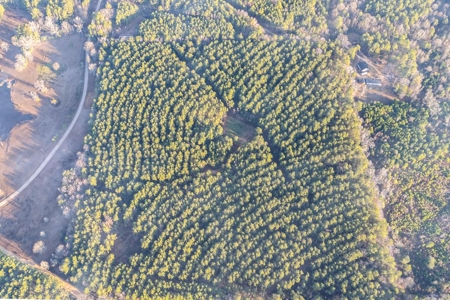 Deer Hunting Land Franklin County MS near Lake Okhissa - image 6