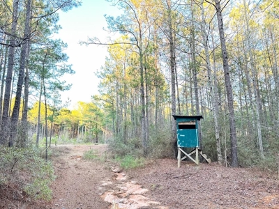 Deer Hunting Land Franklin County MS near Lake Okhissa - image 12