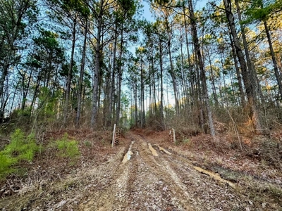 Deer Hunting Land Franklin County MS near Lake Okhissa - image 18