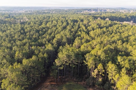 Deer Hunting Land Franklin County MS near Lake Okhissa - image 1