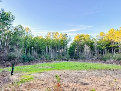 Deer Hunting Land Franklin County MS near Lake Okhissa - image 14