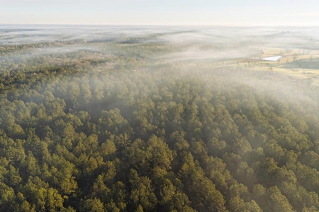 Deer Hunting Land Franklin County MS near Lake Okhissa - image 5