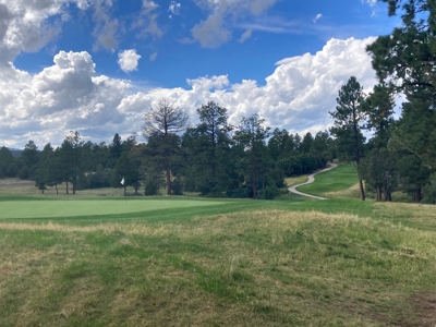 Land For Sale Log Hill, Ridgway, Colorado - image 22