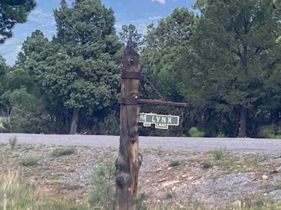 Land For Sale Log Hill, Ridgway, Colorado - image 2