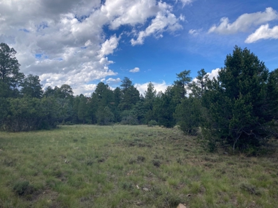 Land For Sale Log Hill, Ridgway, Colorado - image 8