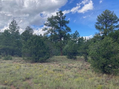 Land For Sale Log Hill, Ridgway, Colorado - image 10