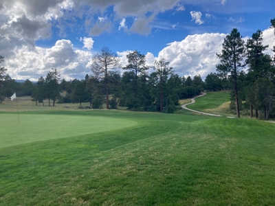 Land For Sale Log Hill, Ridgway, Colorado - image 19