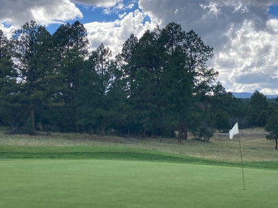 Land For Sale Log Hill, Ridgway, Colorado - image 18