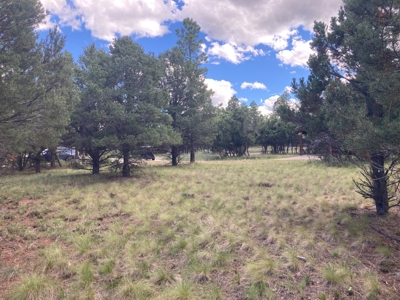 Land For Sale Log Hill, Ridgway, Colorado - image 7