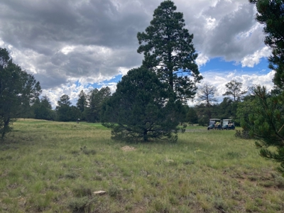 Land For Sale Log Hill, Ridgway, Colorado - image 14