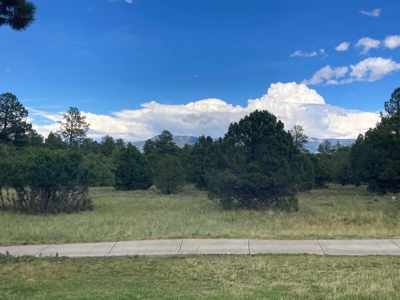 Land For Sale Log Hill, Ridgway, Colorado - image 21