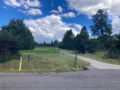 Land For Sale Log Hill, Ridgway, Colorado - image 3