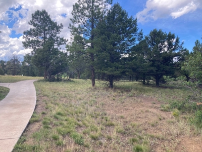 Land For Sale Log Hill, Ridgway, Colorado - image 4